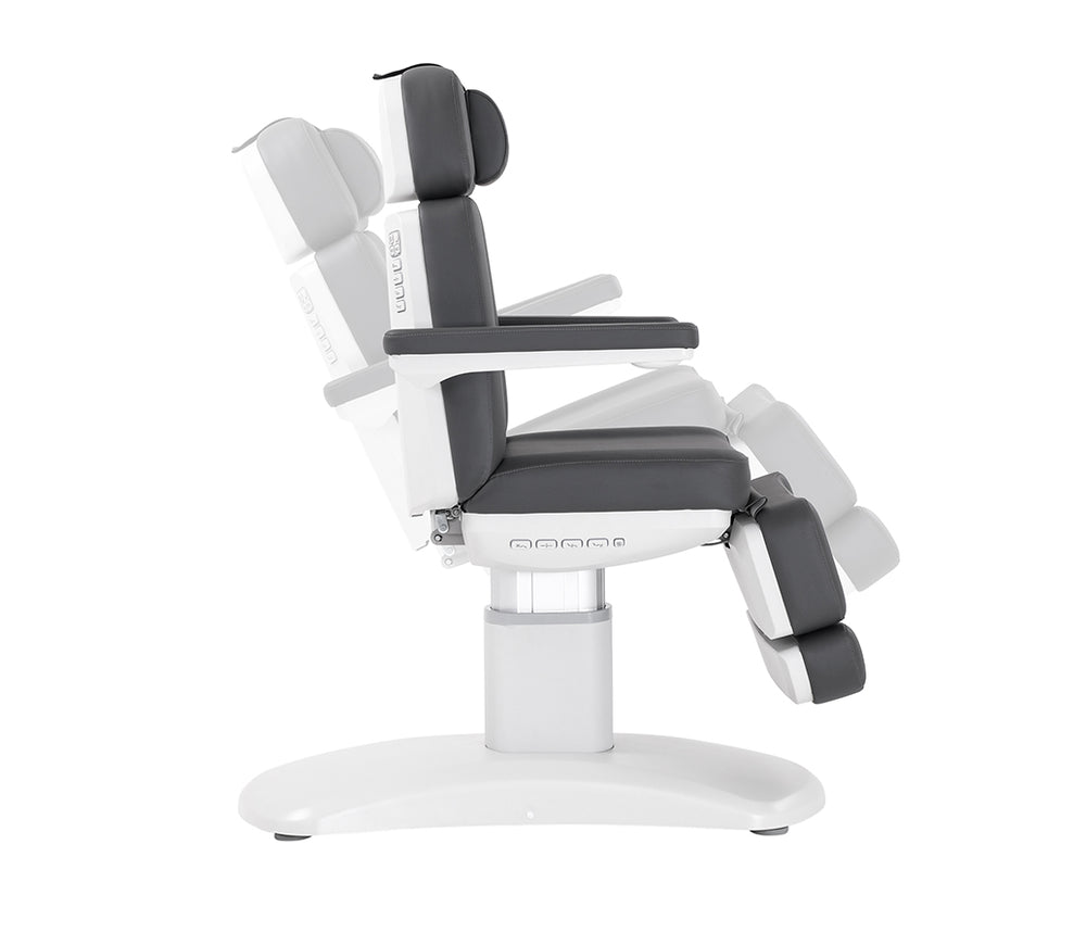 Silverfox Luxury Facial Chair