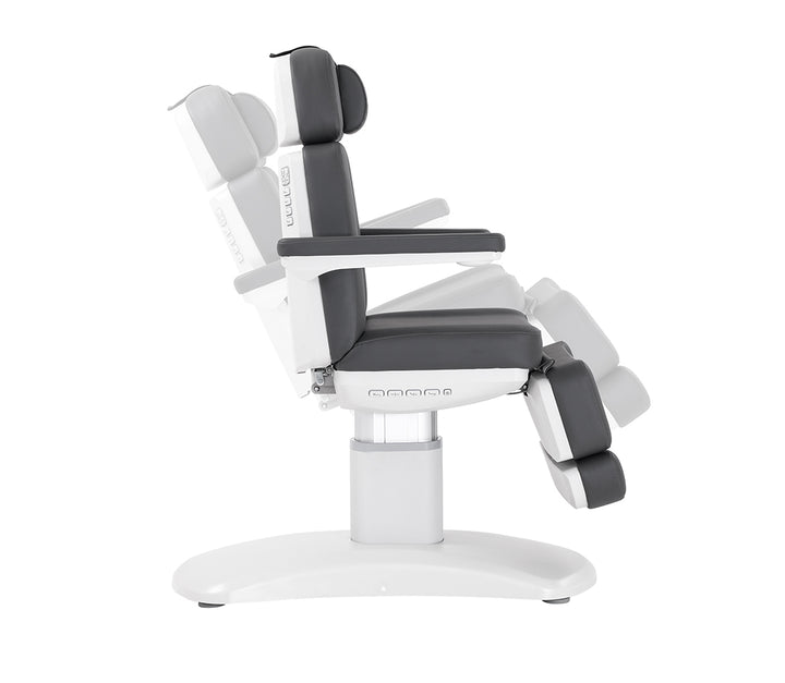 Silverfox Luxury Facial Chair