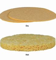 Compressed Cellulose Sponges 75pk