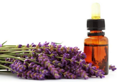 Why is Lavender so popular?