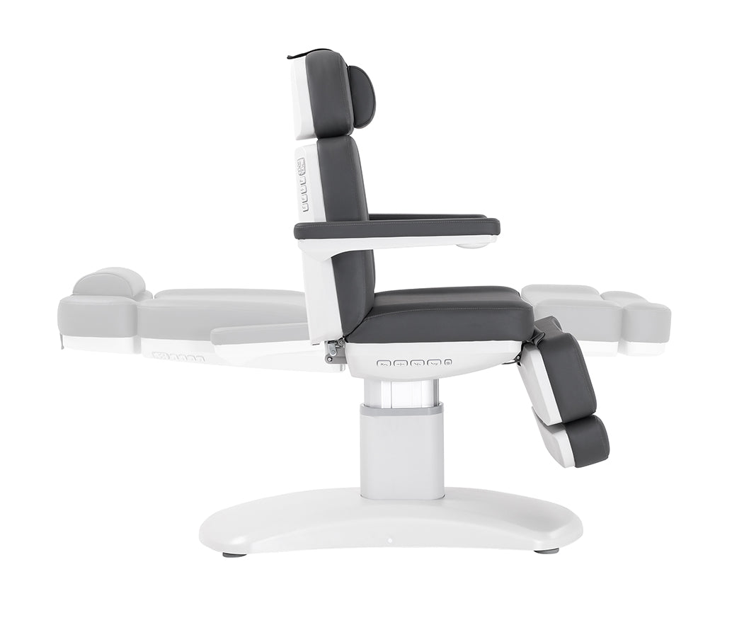 Silverfox Luxury Facial Chair – Spa Order
