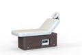 Silver Fox Electric Section Multi Purpose Massage Table, Light Grey, Teak