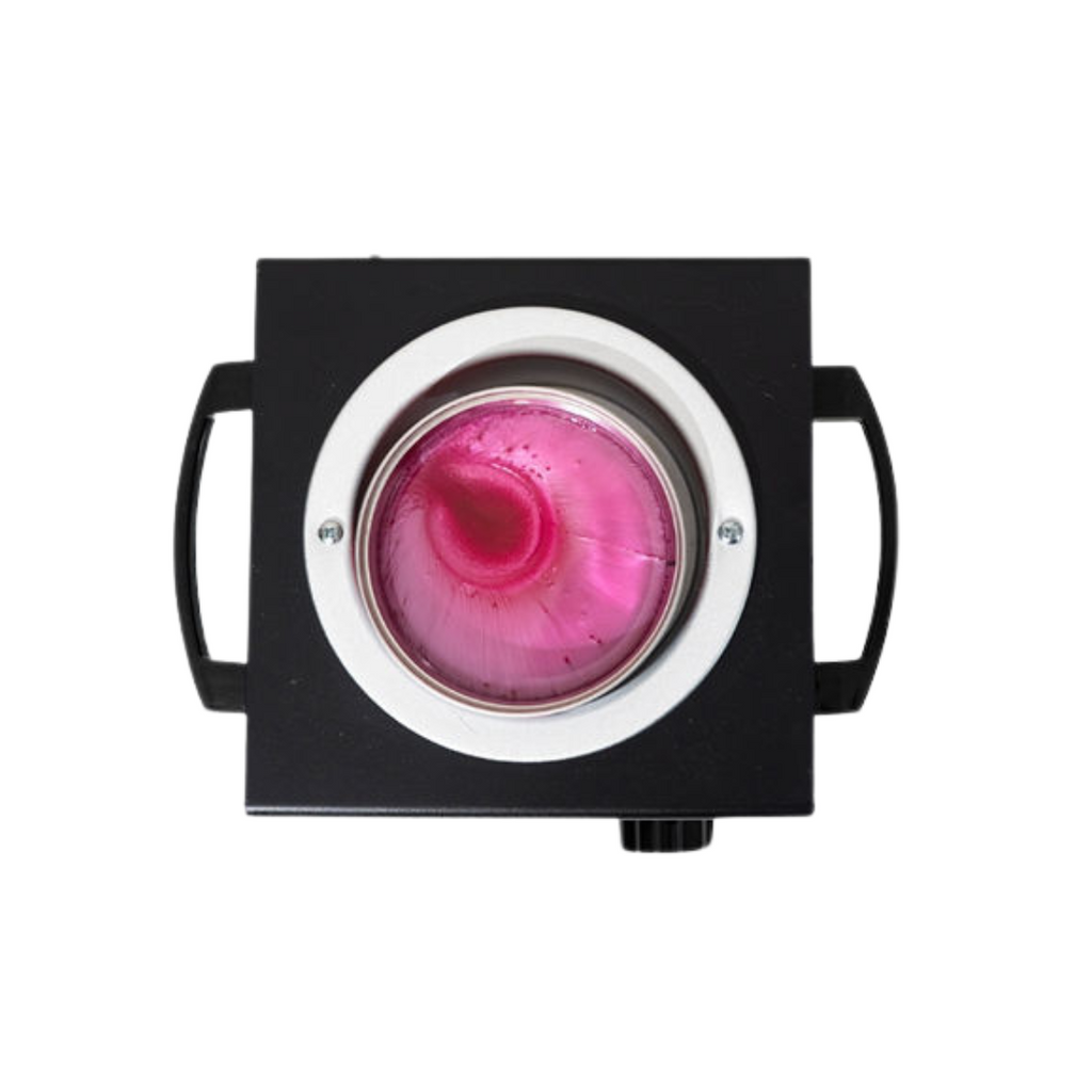 Dermwax LUXE Strawberry Sorbet Soft Wax, 14 Oz