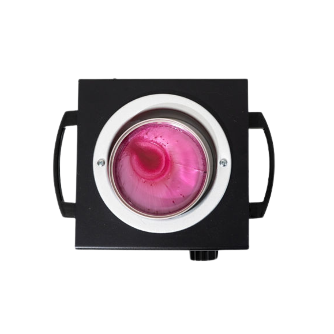 Dermwax LUXE Strawberry Sorbet Soft Wax, 14 Oz