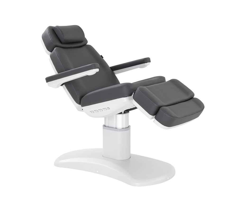 Silverfox Luxury Facial Chair – Spa Order