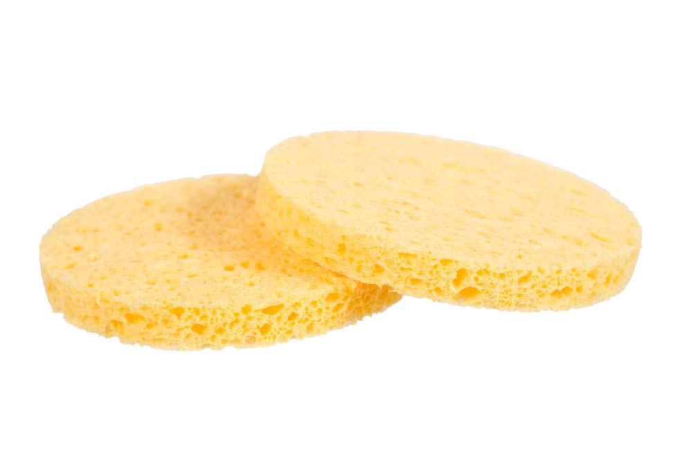 Round Compressed Sponges Natural, Pack of 20